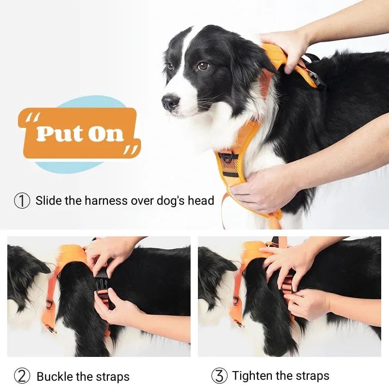 Best Dog Harness with Retractable Leash 2-in-1 No Pull Puppy Harness