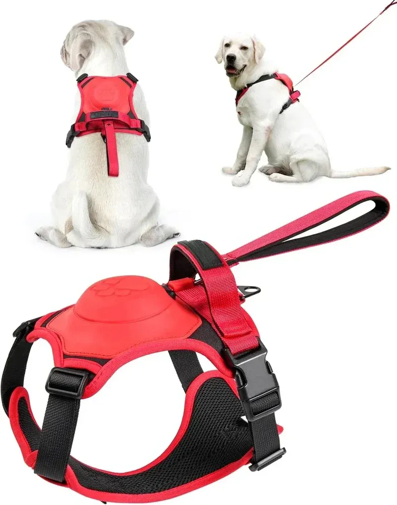 Best Dog Harness with Retractable Leash 2-in-1 No Pull Puppy Harness