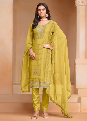 Green Organza Chiffon Embroidered Festive Salwar Suit