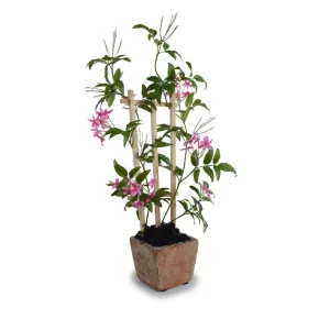 Jasmine Vine 18"H